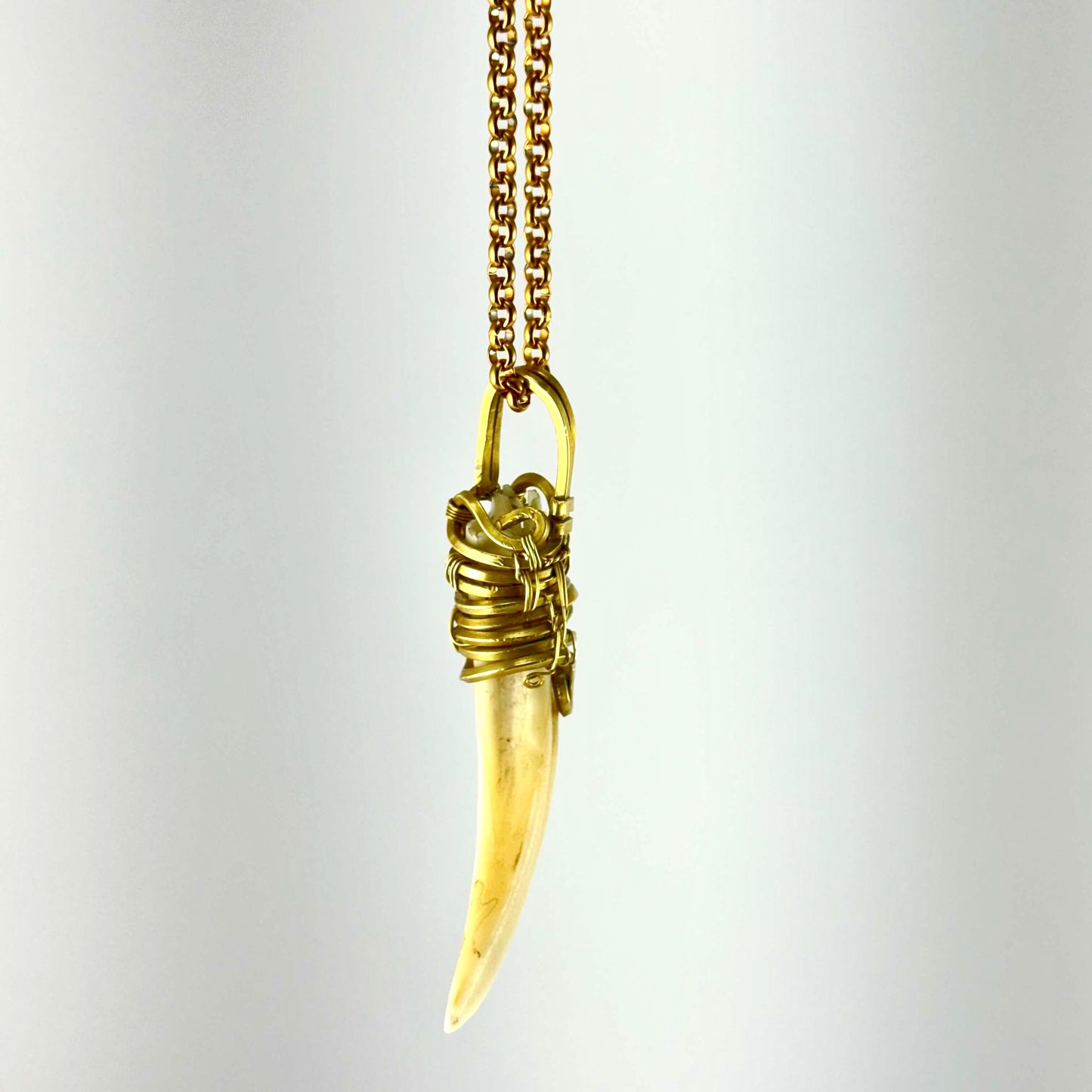 Collier de défense de sanglier #4