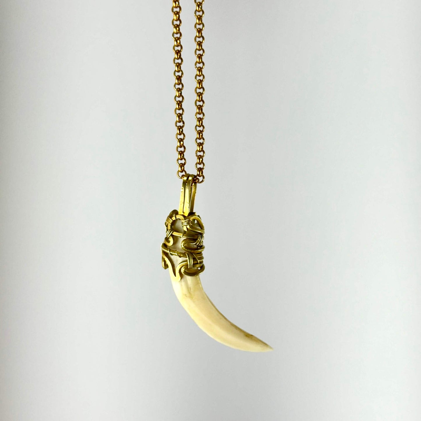 Collier de défense de sanglier #4