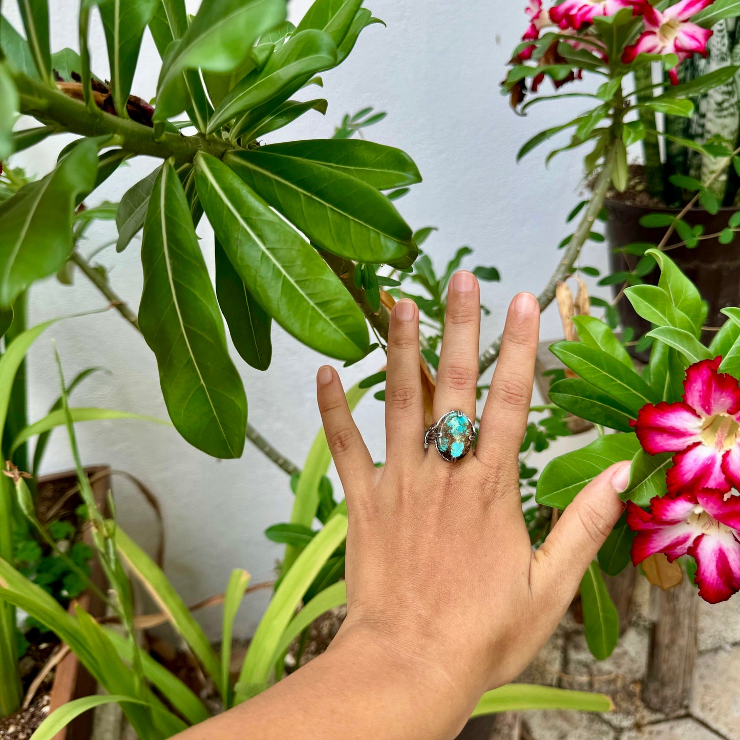 Anillo de Turquesa