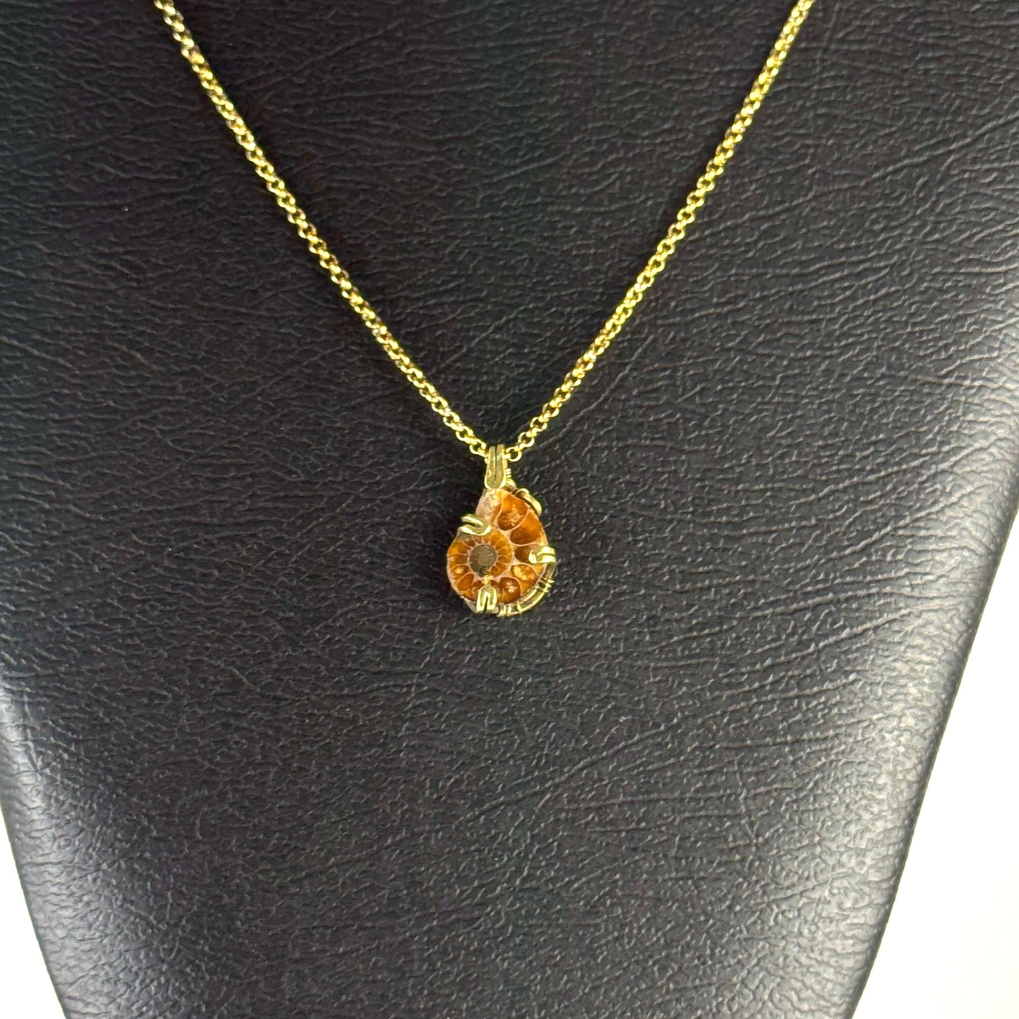 Dije de Amonite