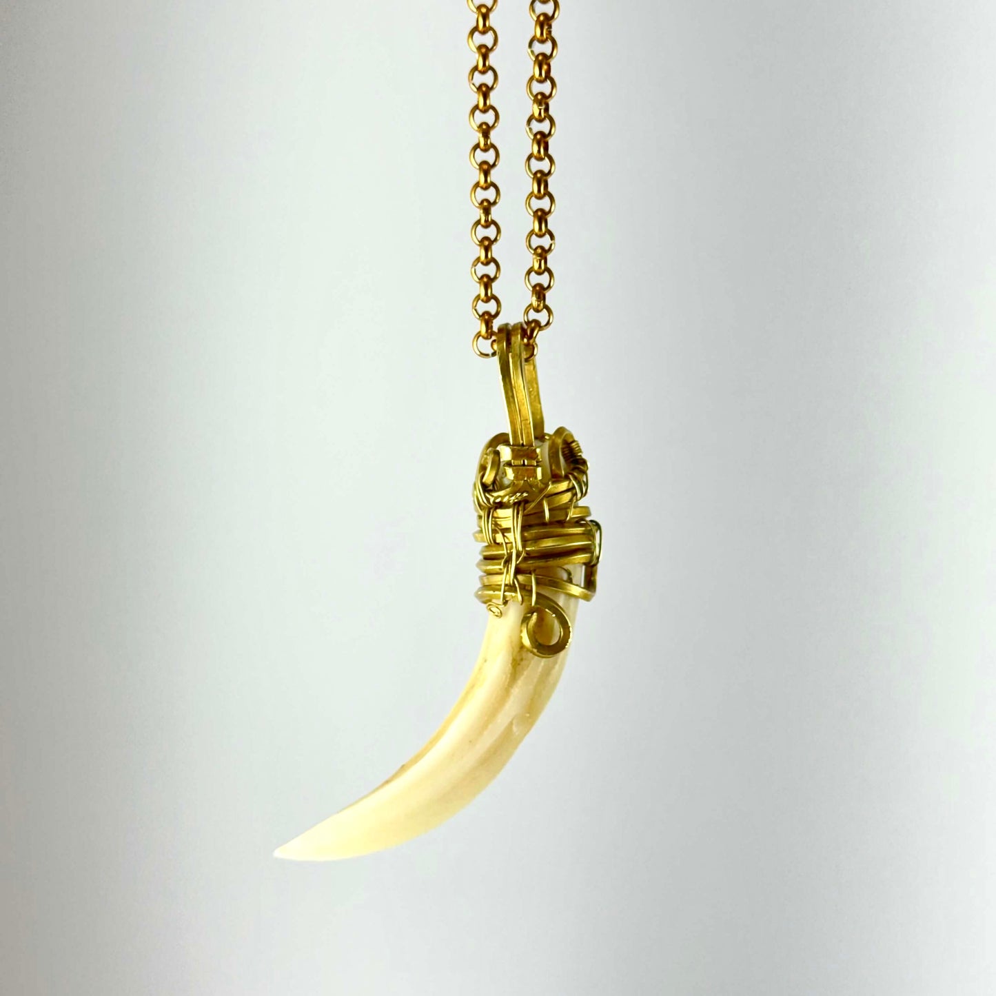 Collier de défense de sanglier #4