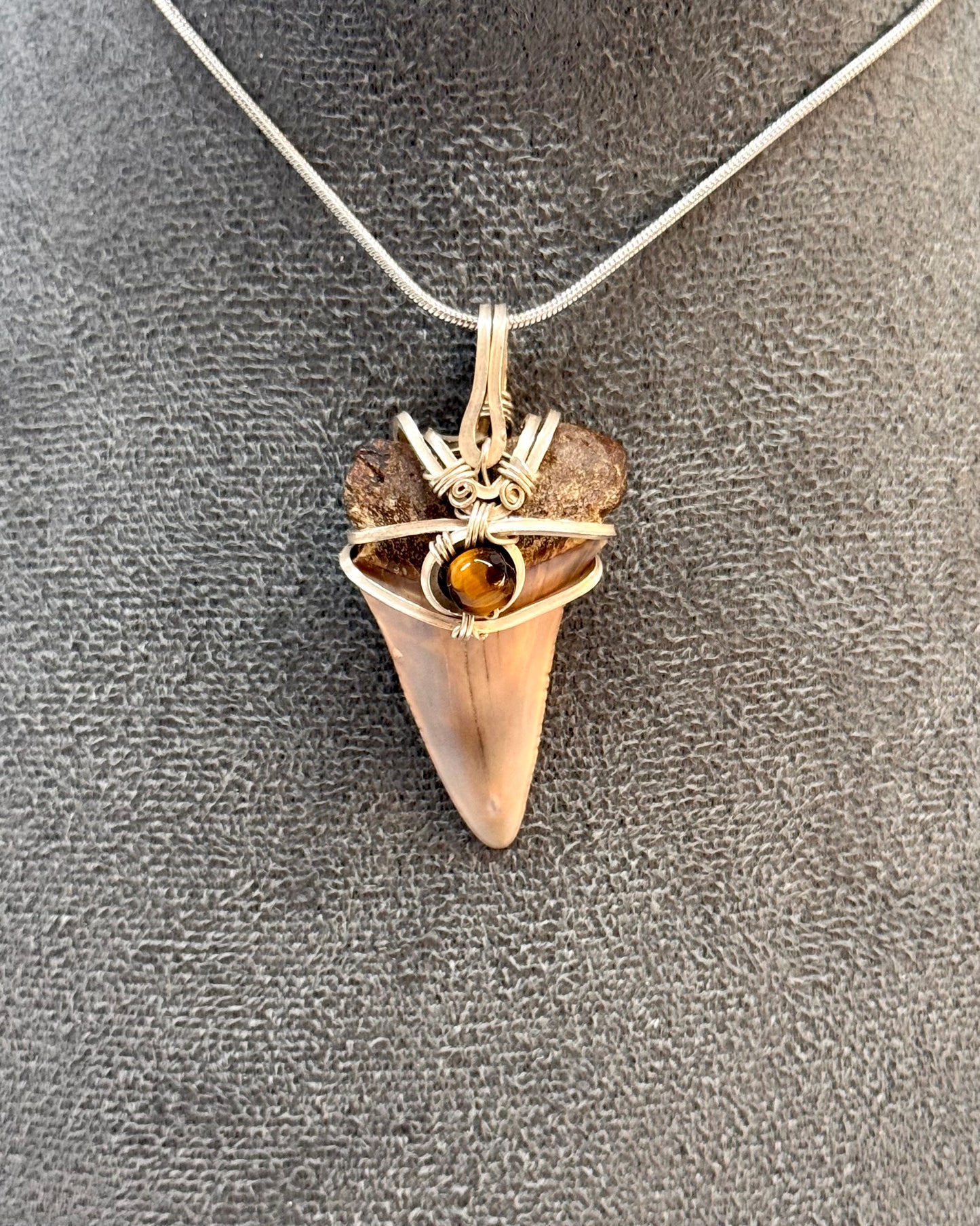 Dent de mégalodon fossilisée avec œil de tigre en argent