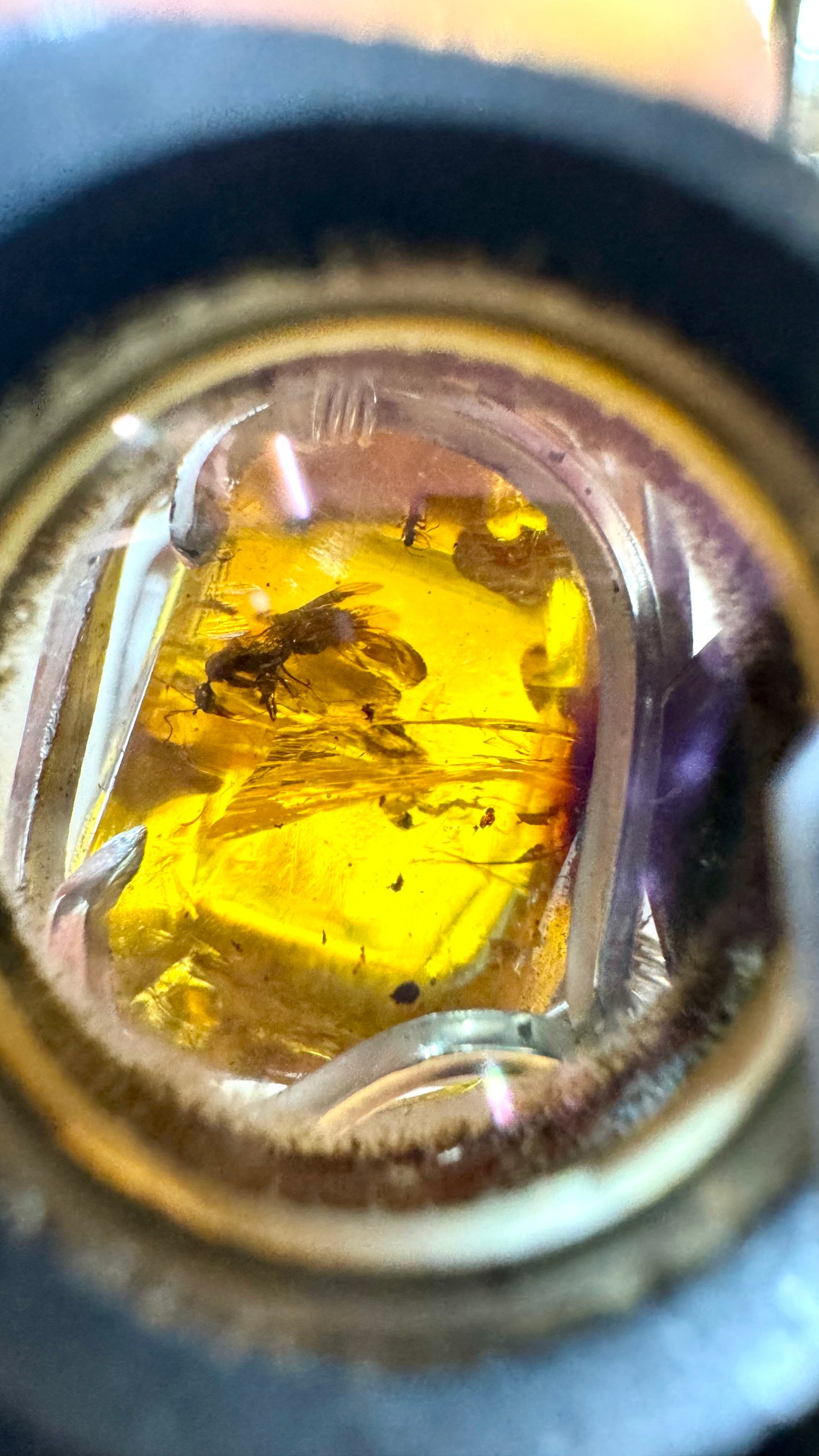 Dije de Ámbar con mosca primitiva y mosquito