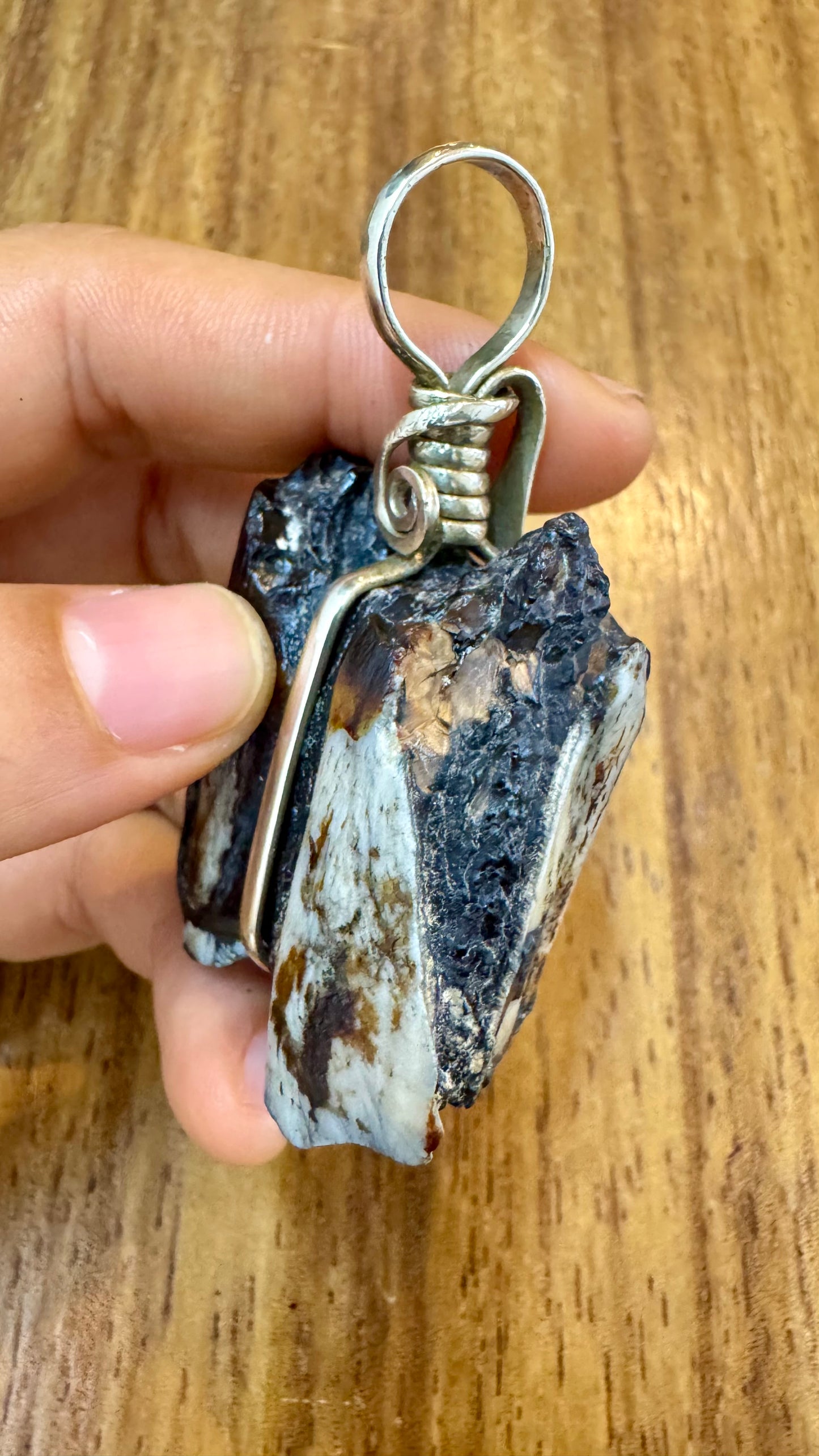 Muela Fósil de Okapi