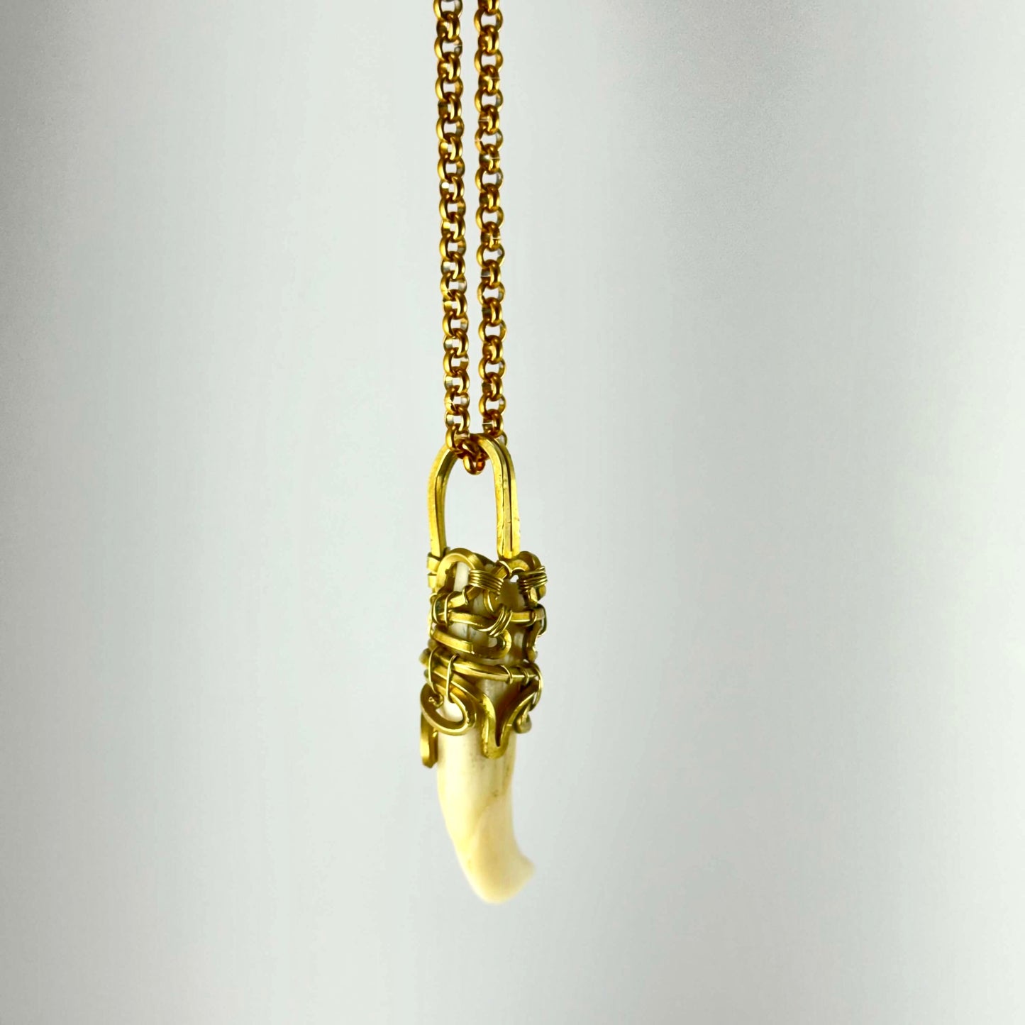 Collier de défense de sanglier #4