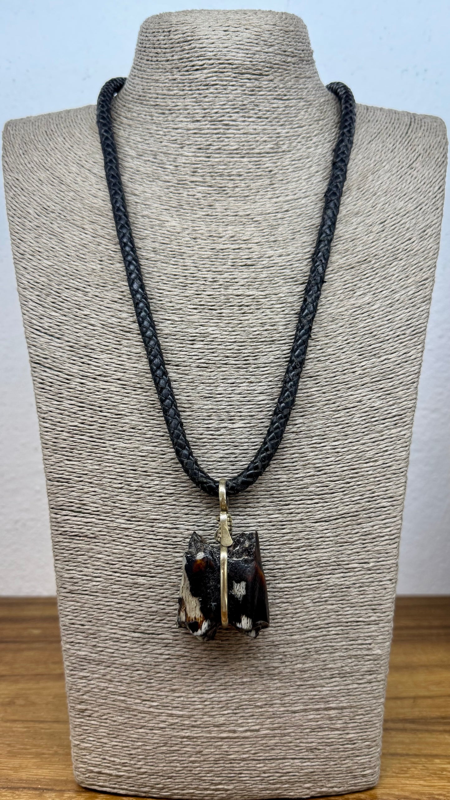 Muela Fósil de Okapi