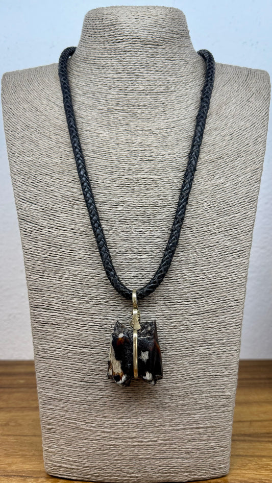 Muela Fósil de Okapi