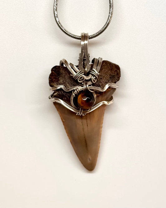 Megalodón fósil con ojo de tigre en plata