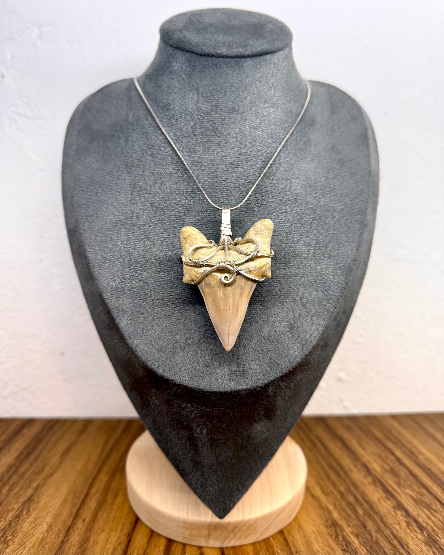 Diente Fósil de Megalodón en alambre de Plata