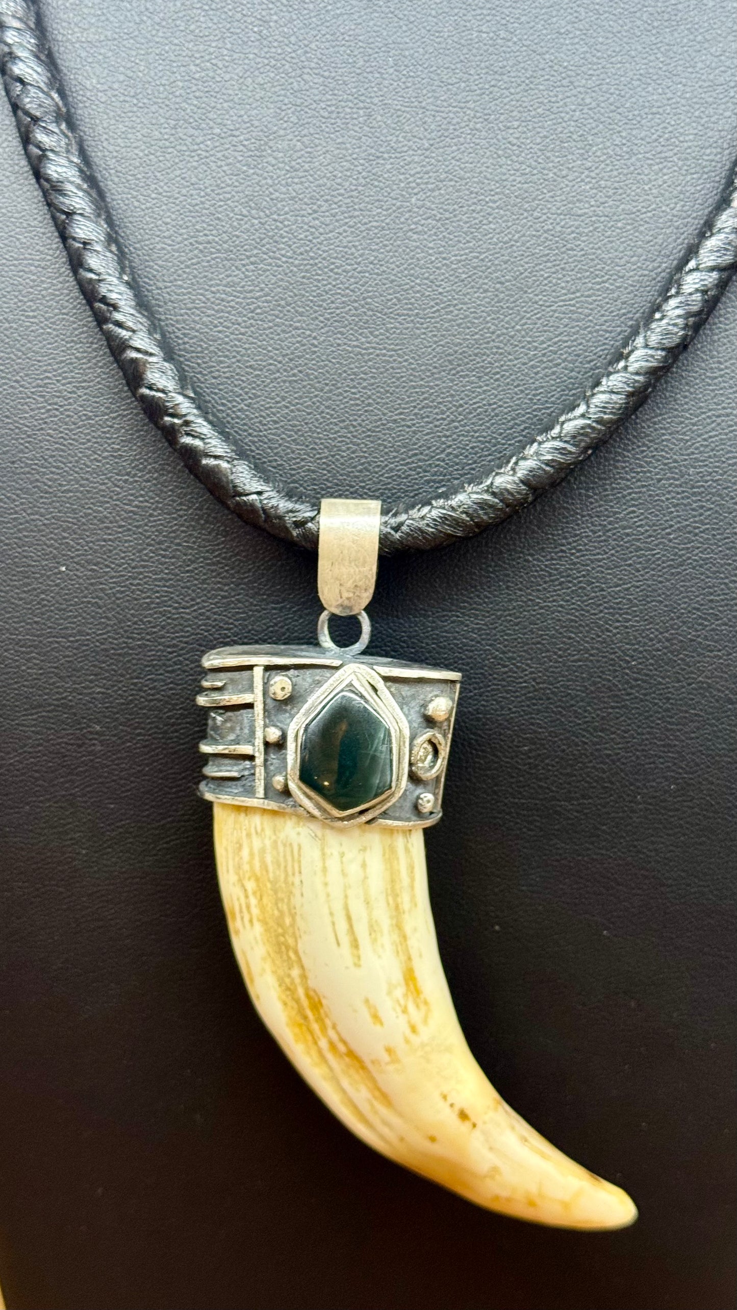 Collar de colmillo de León marino en plata cromada