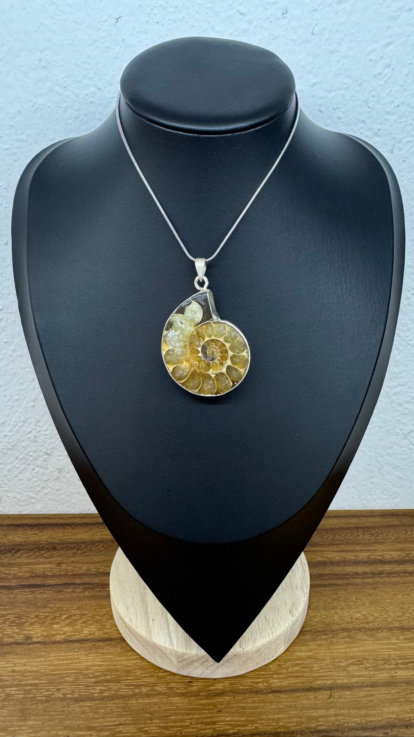 Colgante de fósil amonite en plata 950