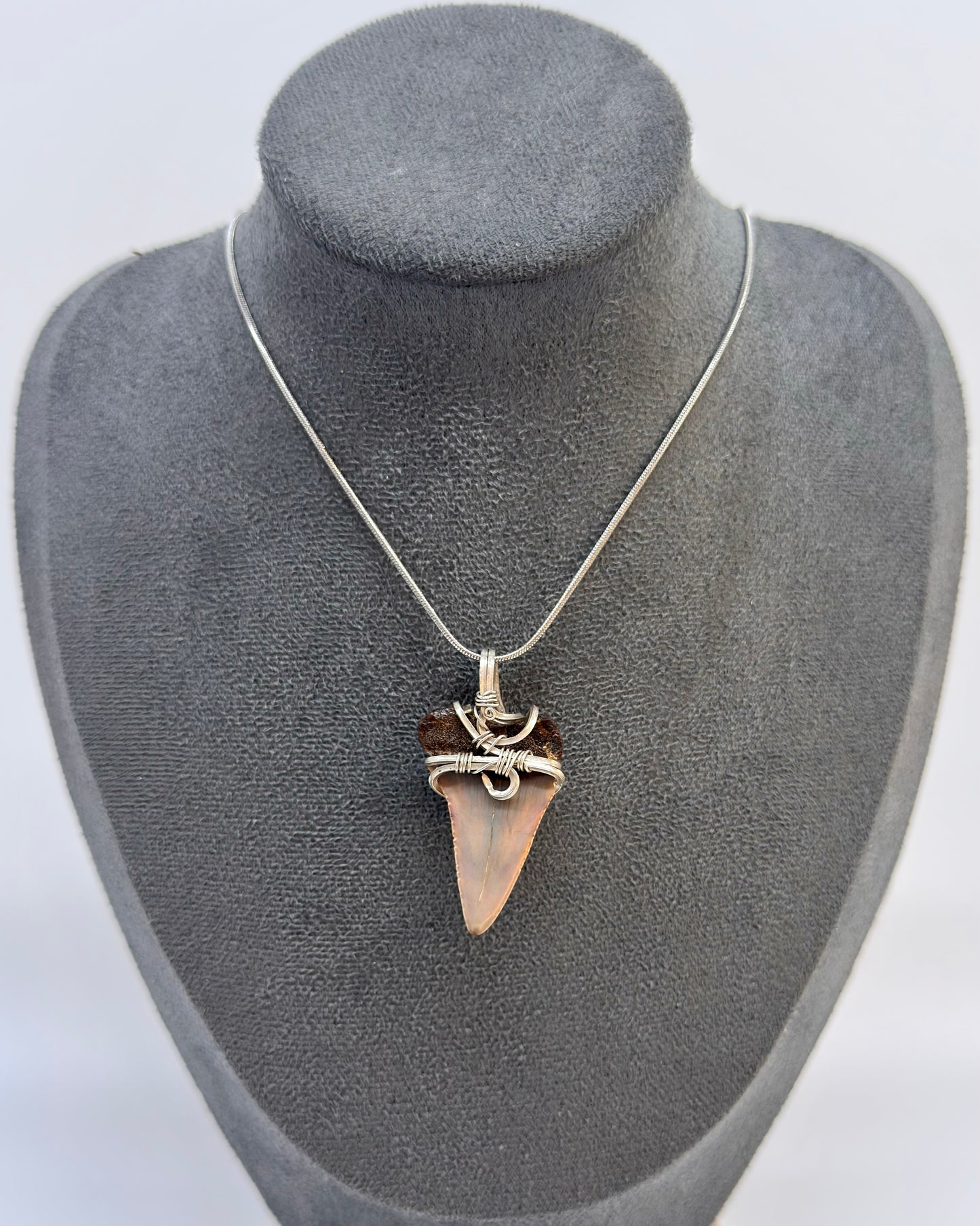 Dent de mégalodon fossilisée avec œil de tigre en argent