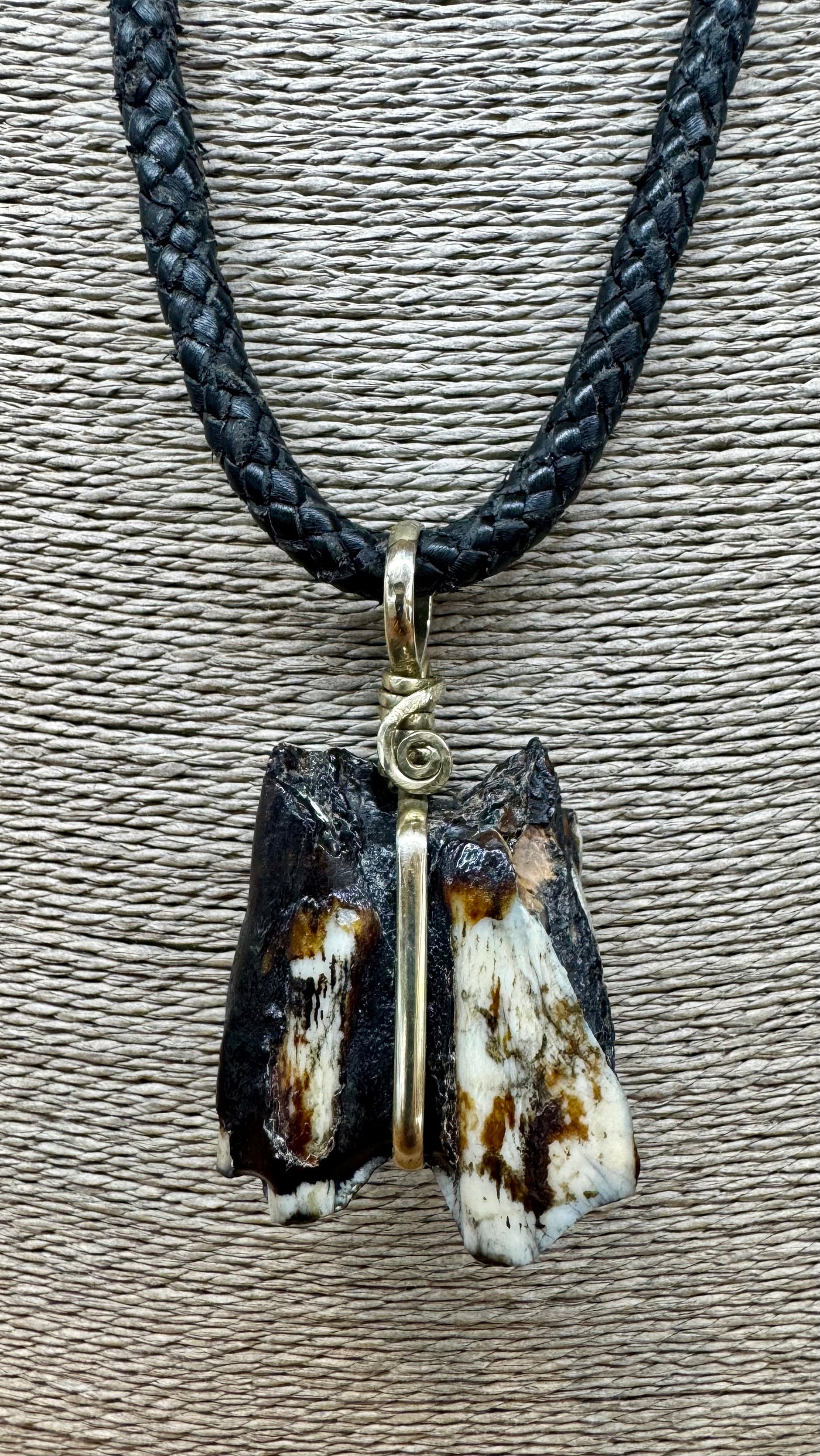 Muela Fósil de Okapi