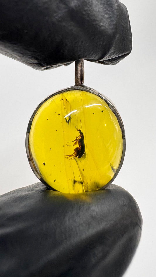 Dije de ámbar con pulga prehistórica en plata