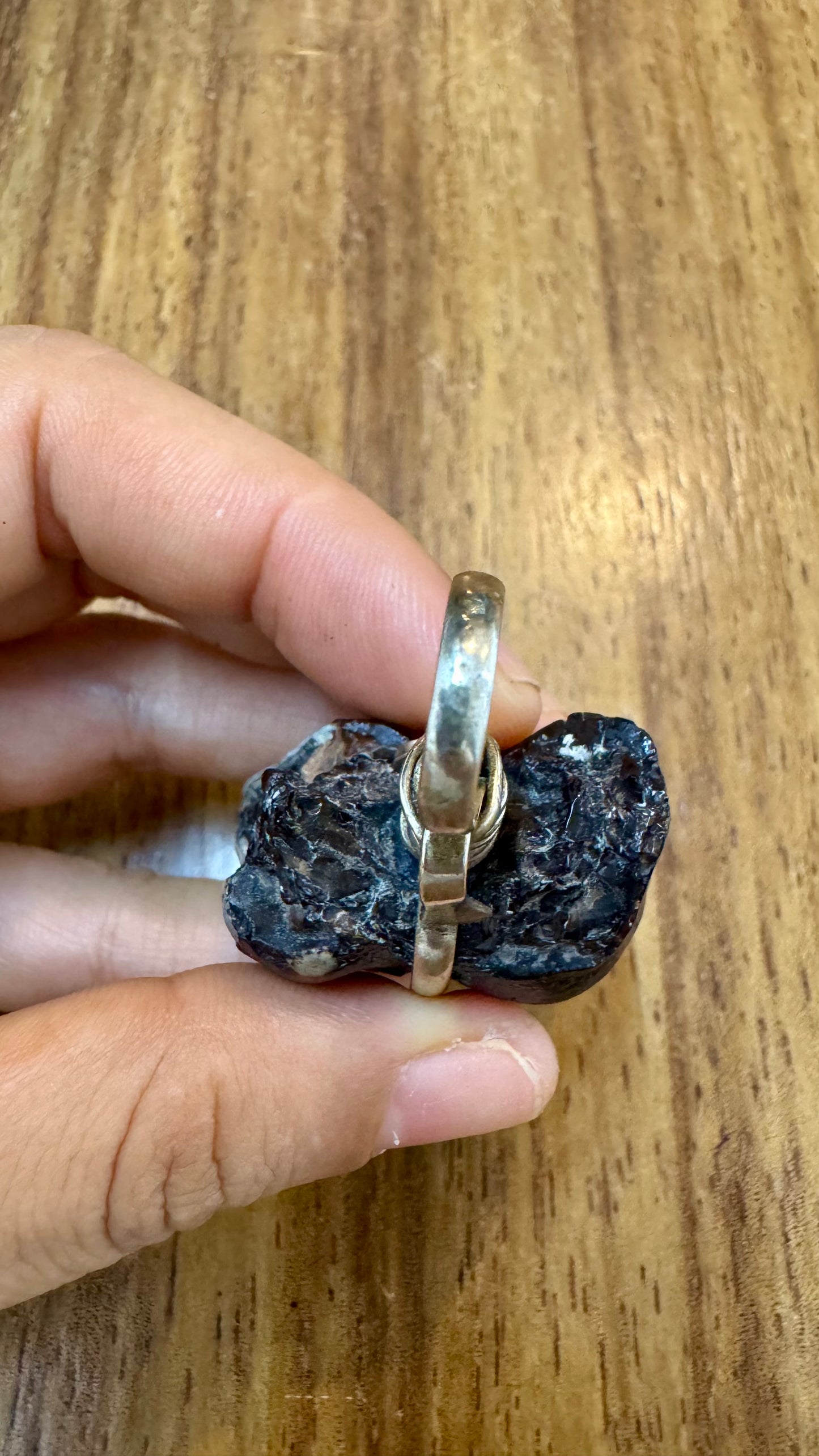 Muela Fósil de Okapi