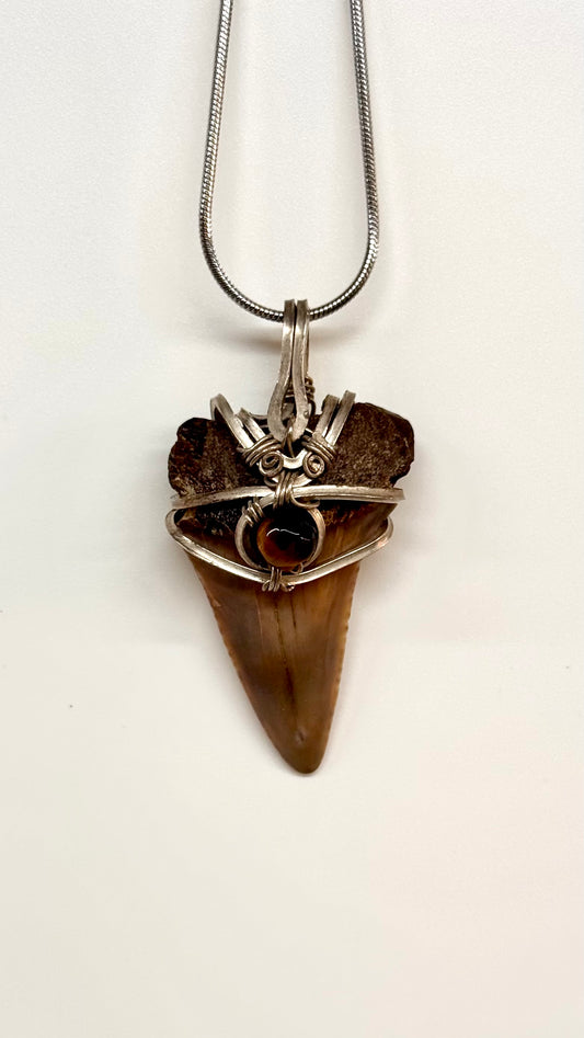 Diente de Megalodón fósil con ojo de tigre en plata