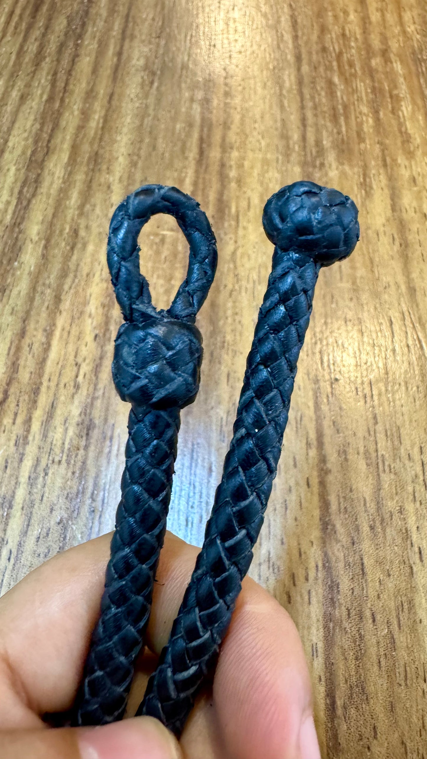 Muela Fósil de Okapi