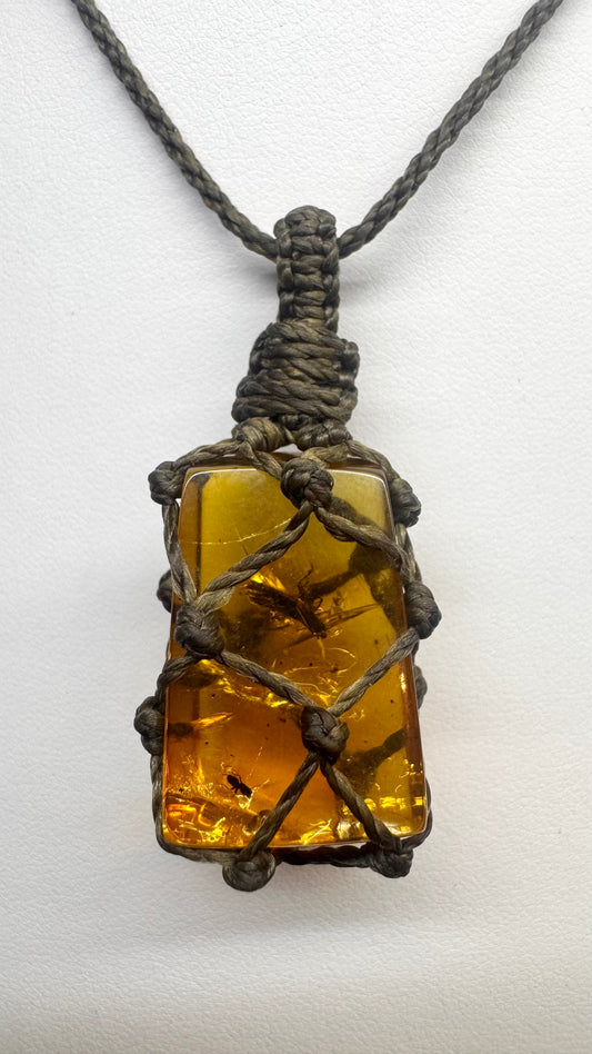 Ámbar con insectos en macramé