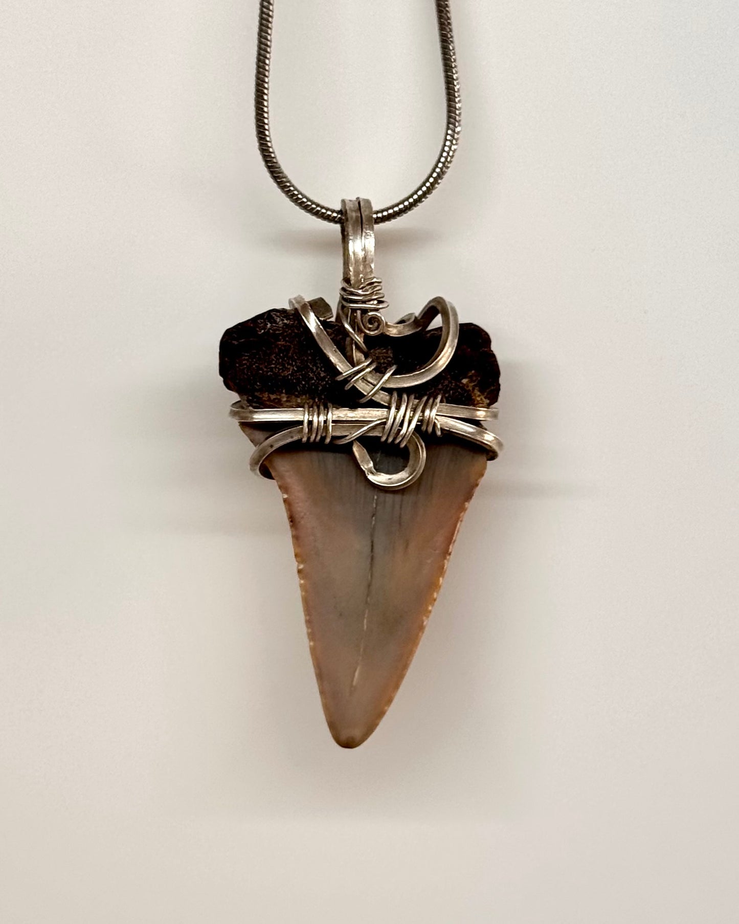 Dent de mégalodon fossilisée avec œil de tigre en argent