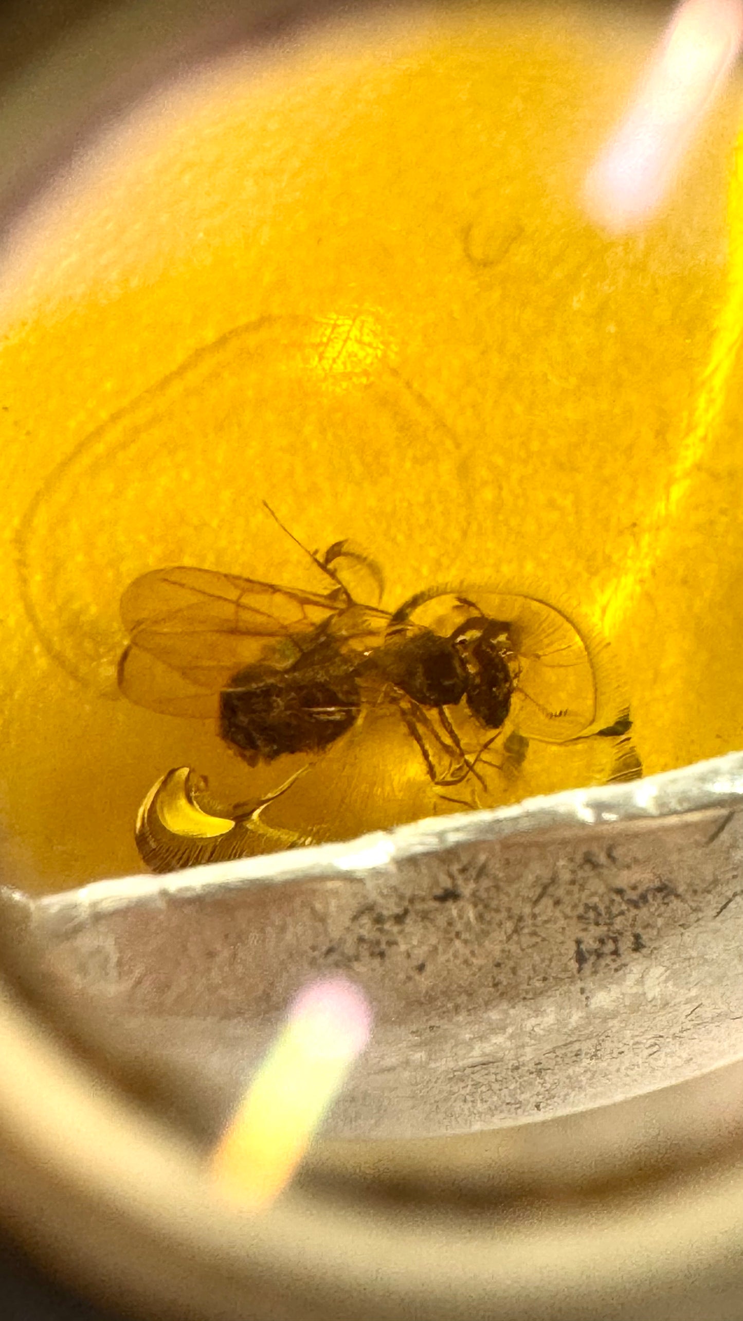 Pendentif en ambre avec mouche primitive en argent