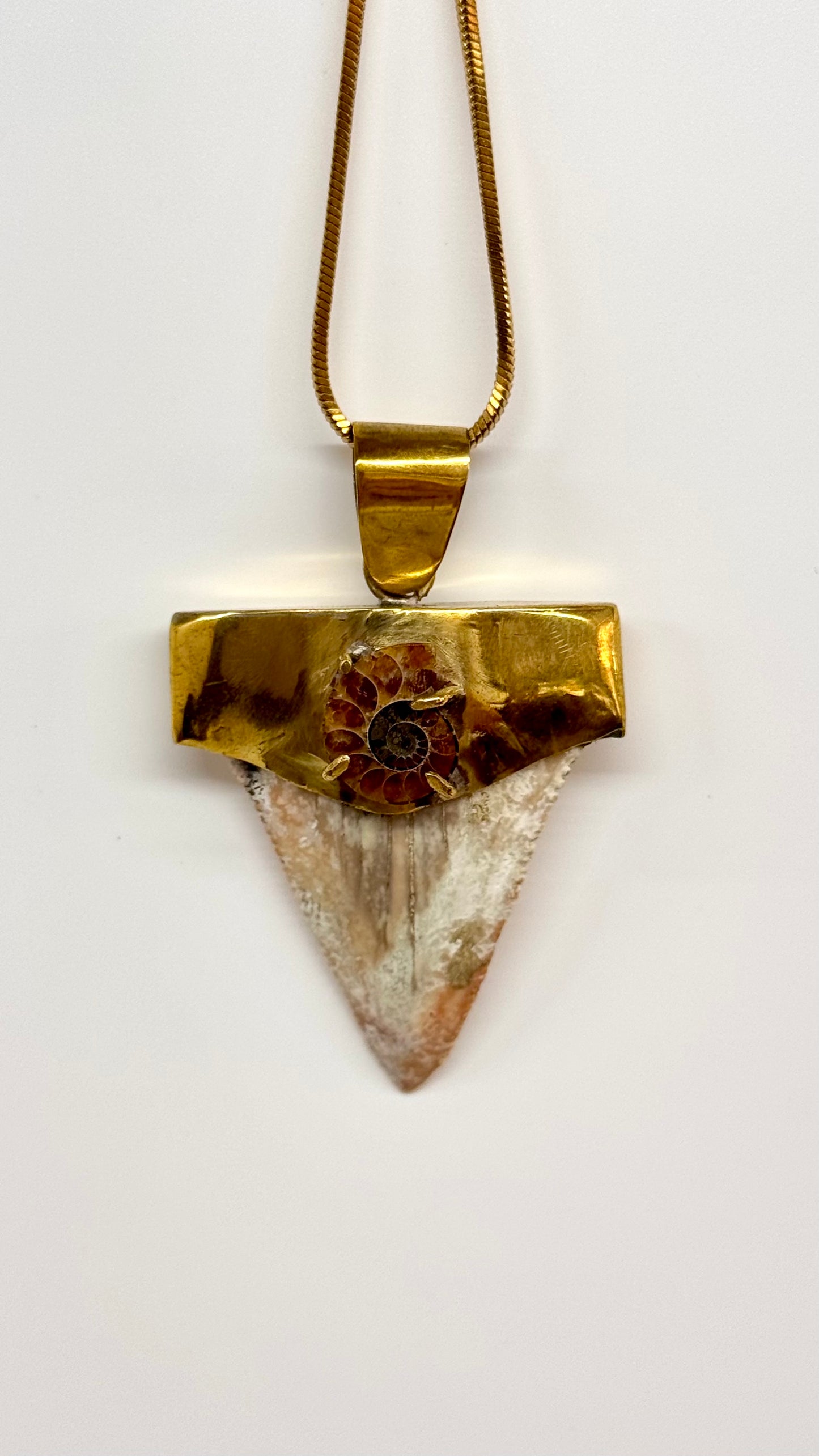 Dent de mégalodon fossilisée avec ammonite dans du laiton