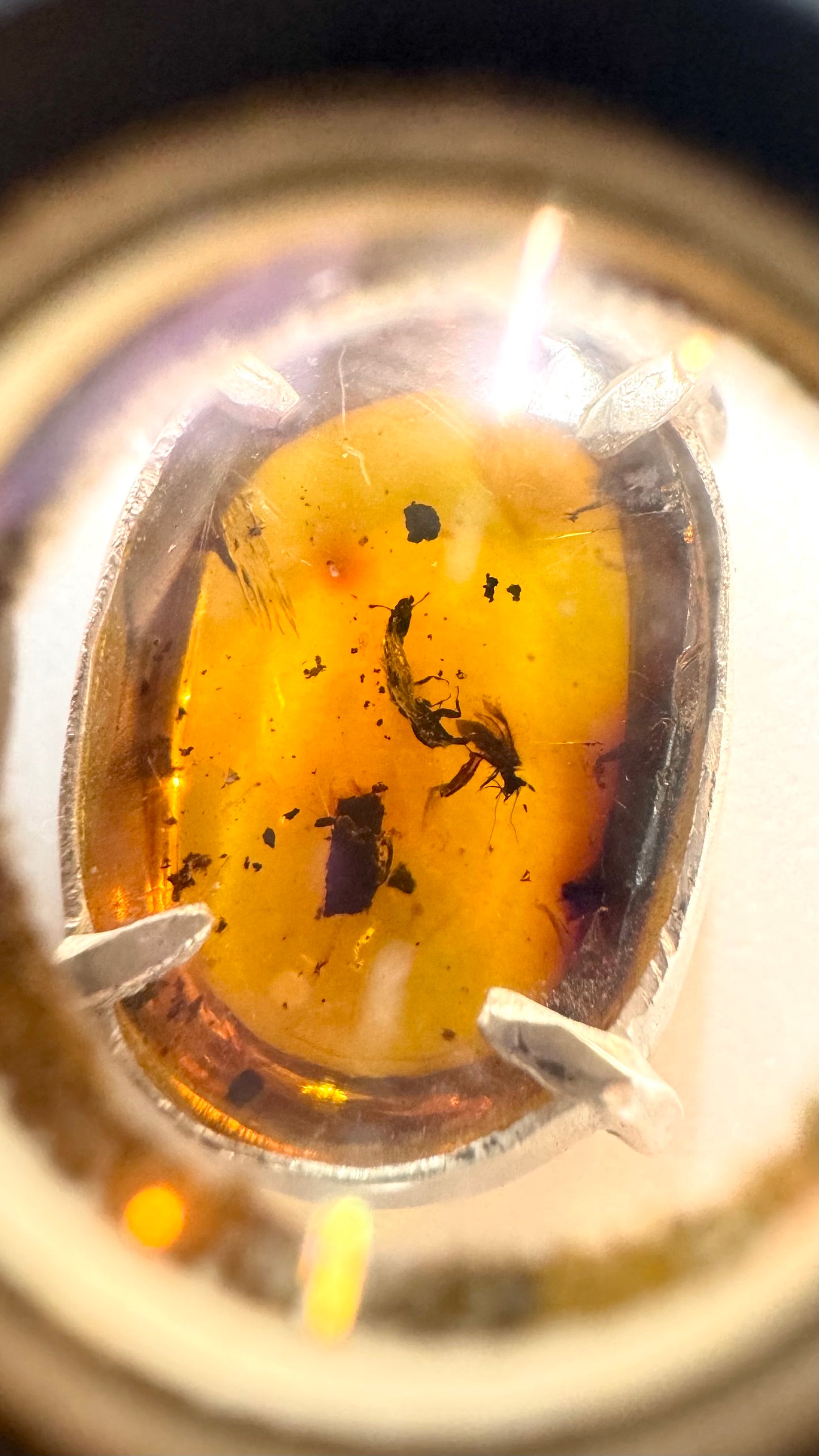 Dije de Ámbar pequeño con dos insectos. Plata.