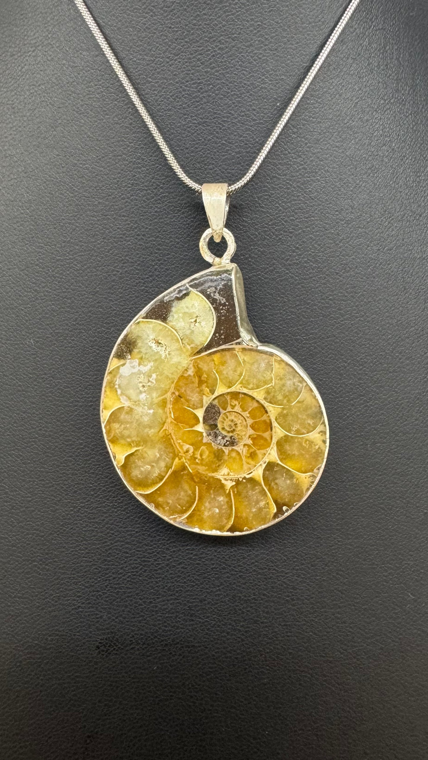 Colgante de fósil amonite en plata 950