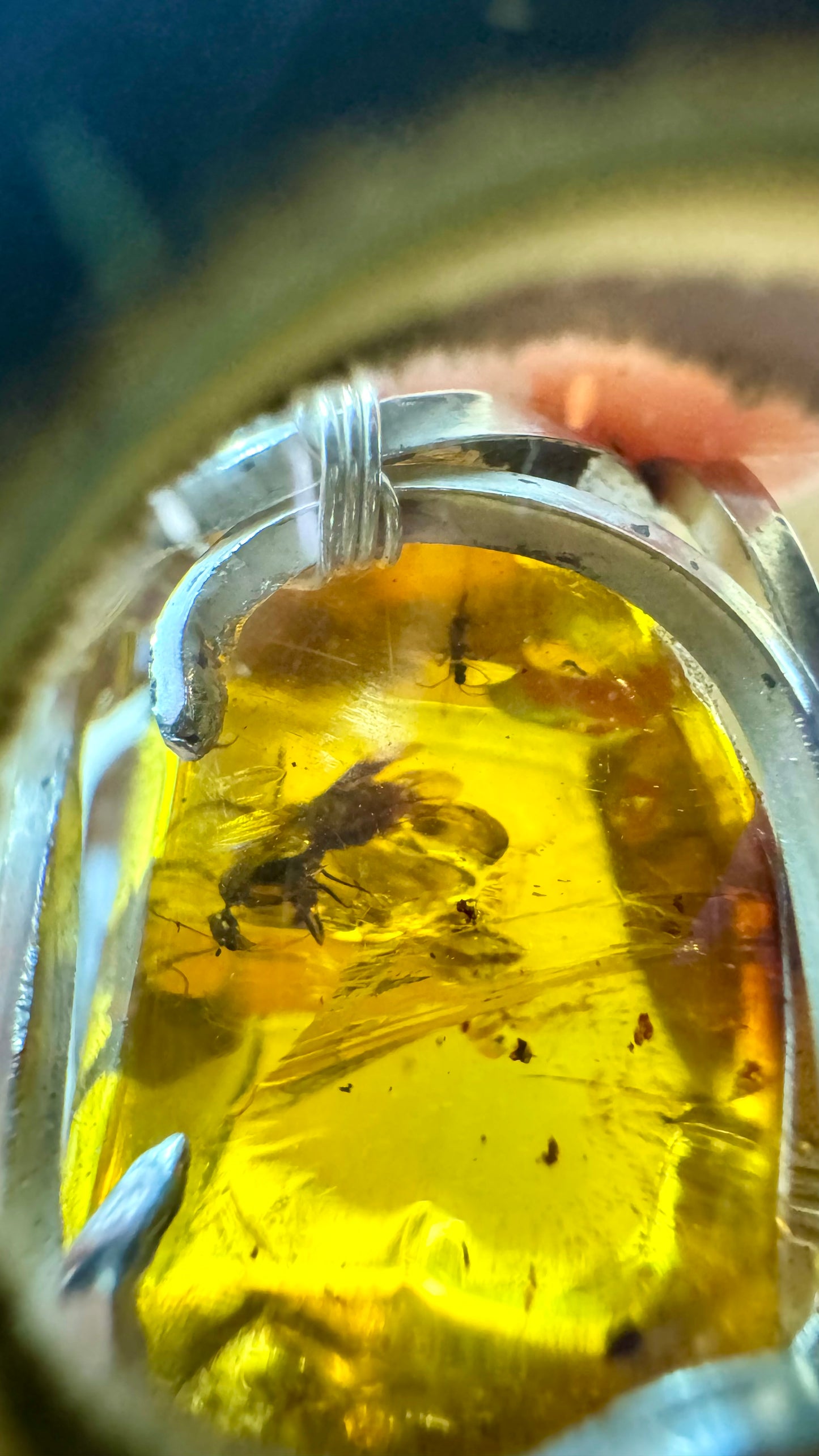 Dije de Ámbar con mosca primitiva y mosquito