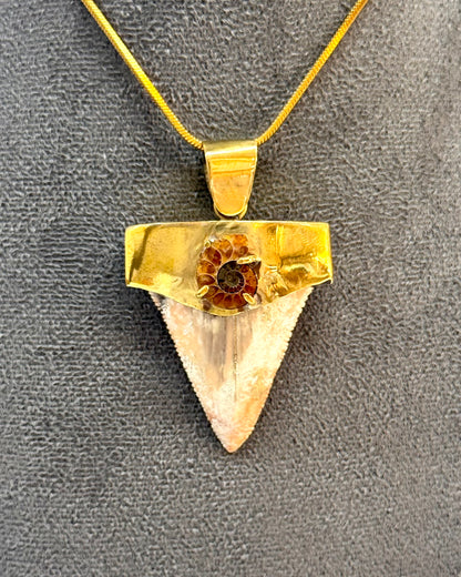 Dente fóssil de megalodonte com amonite em latão