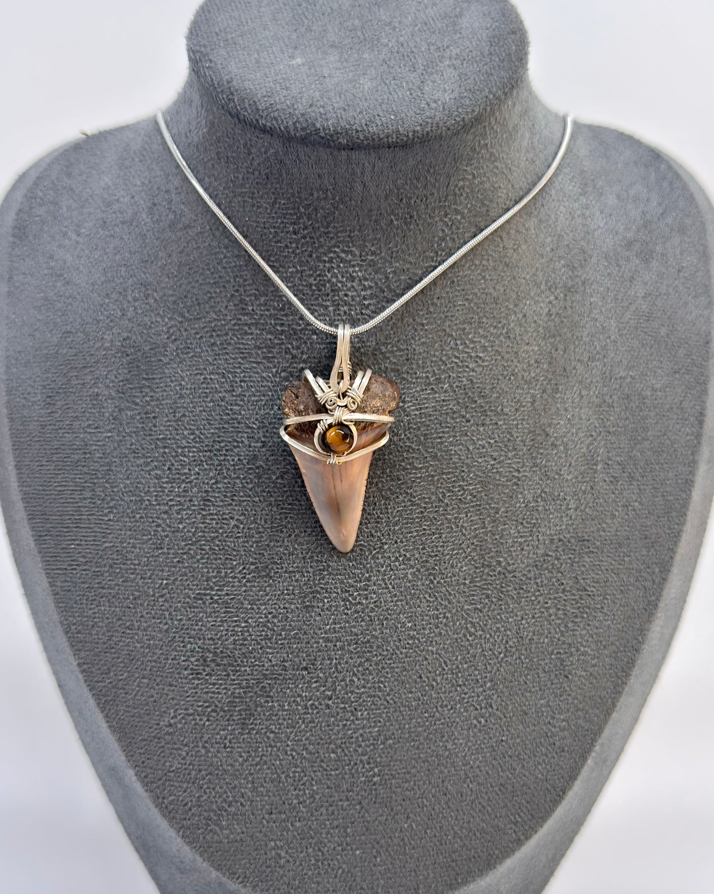 Dent de mégalodon fossilisée avec œil de tigre en argent